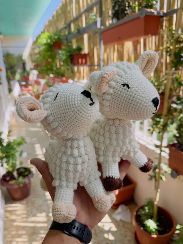 The Sheep