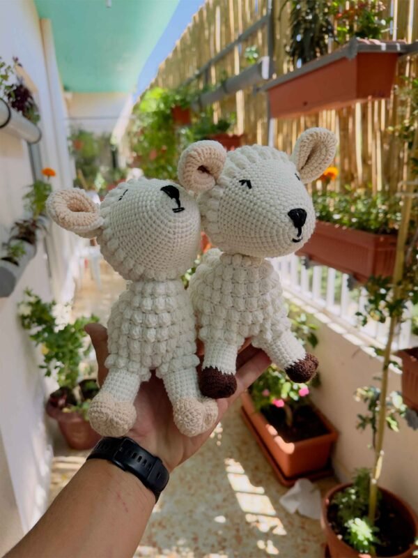 The Sheep