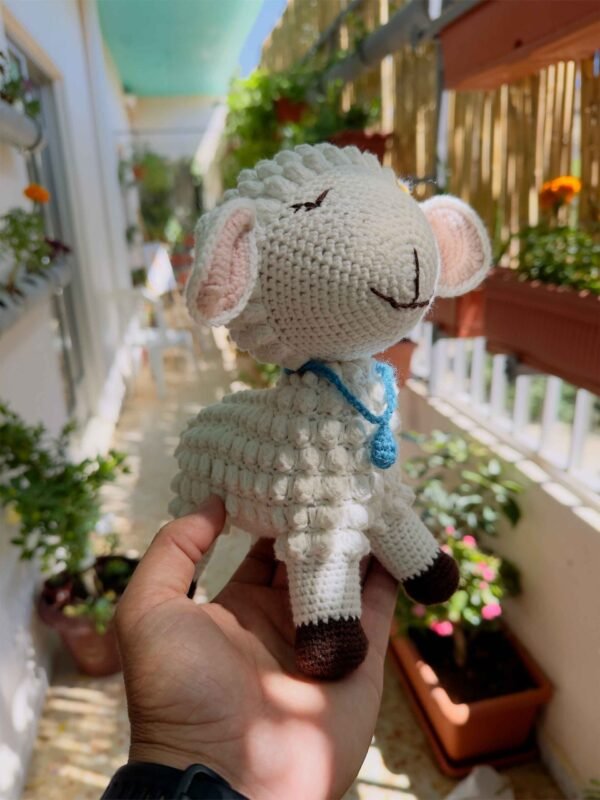 The Sheep
